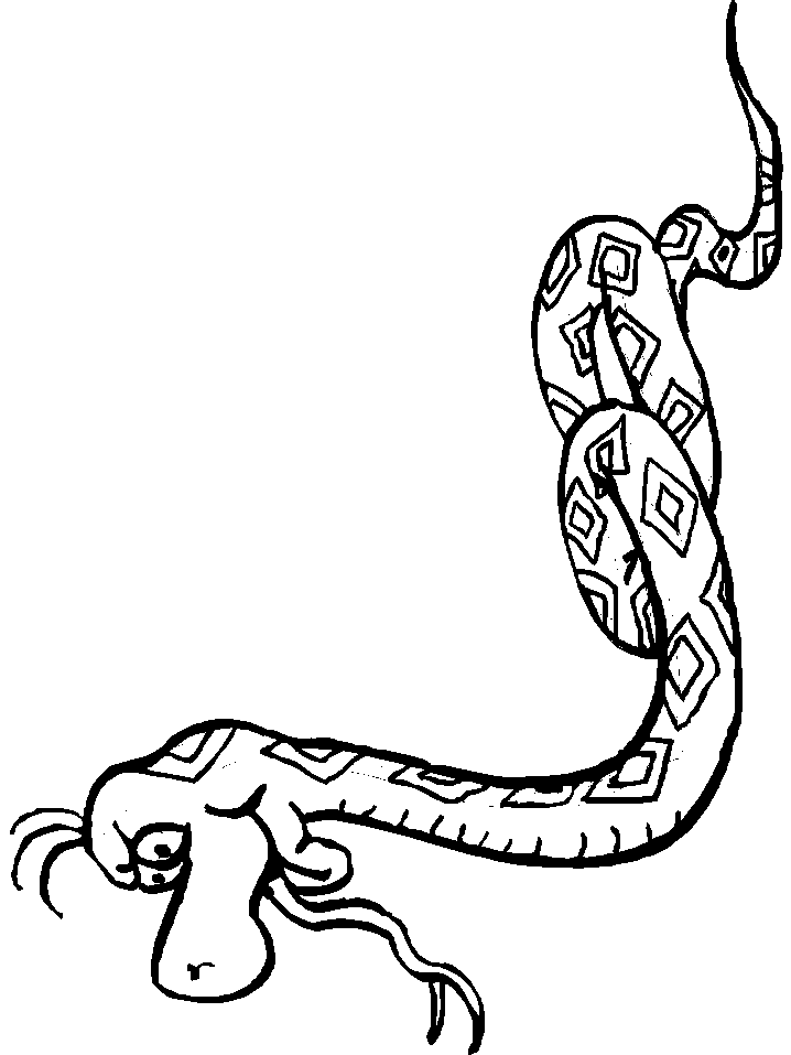 snake-coloring-page-0059-q1