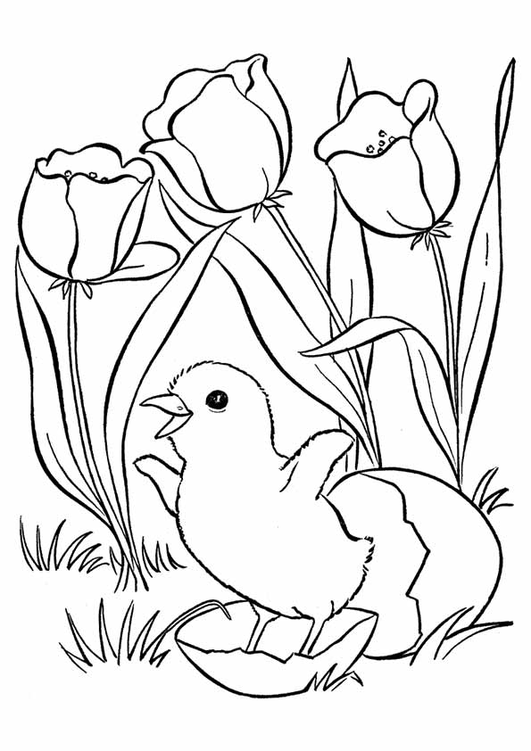 spring-coloring-page-0042-q2