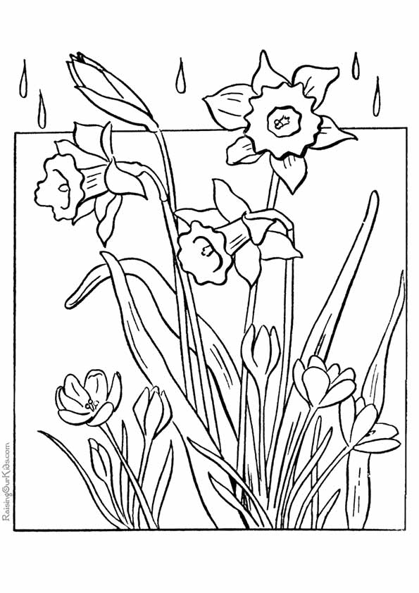 spring-coloring-page-0053-q2