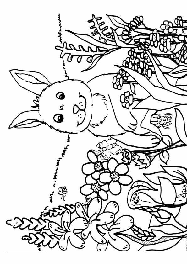 spring-coloring-page-0063-q2