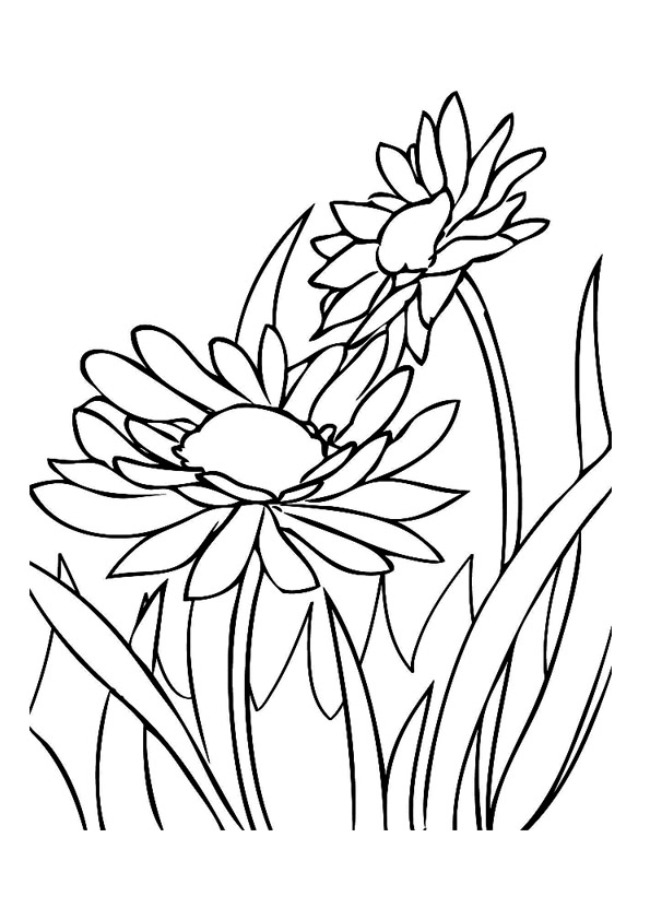 spring-coloring-page-0075-q2