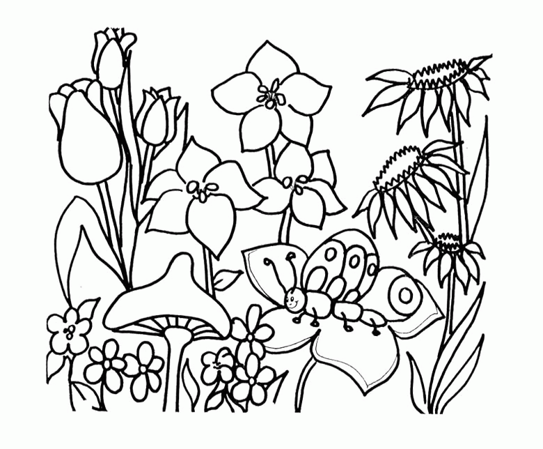 spring-coloring-page-0087-q1