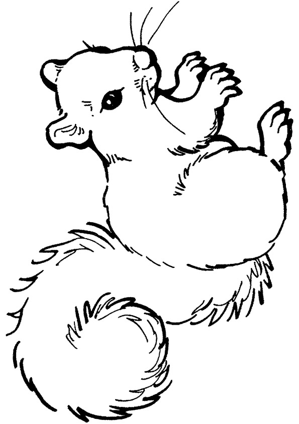 squirrel-coloring-page-0013-q2