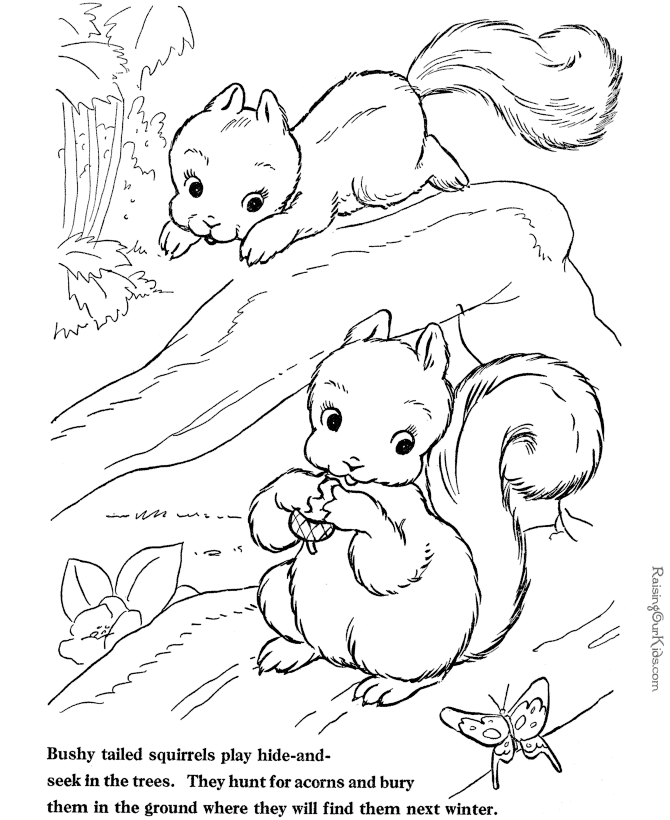 squirrel-coloring-page-0024-q1