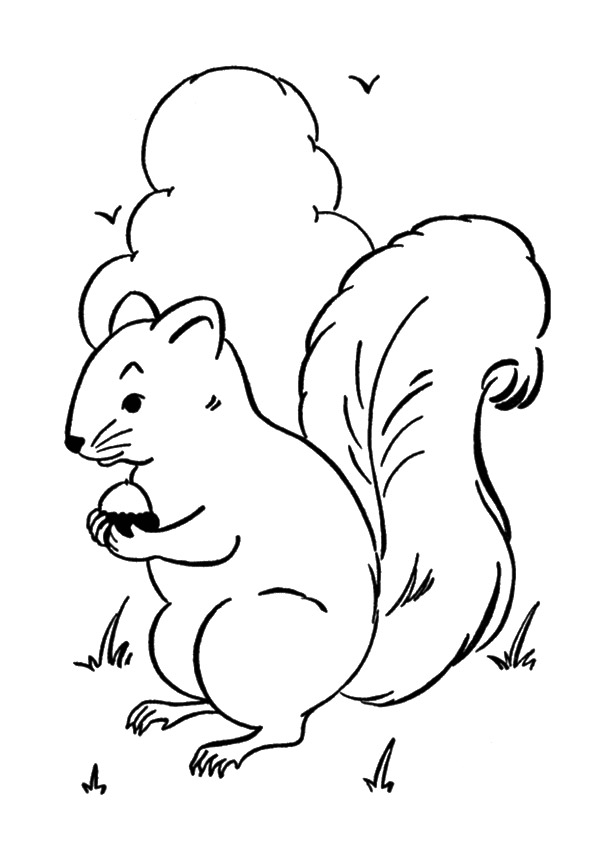 squirrel-coloring-page-0030-q2