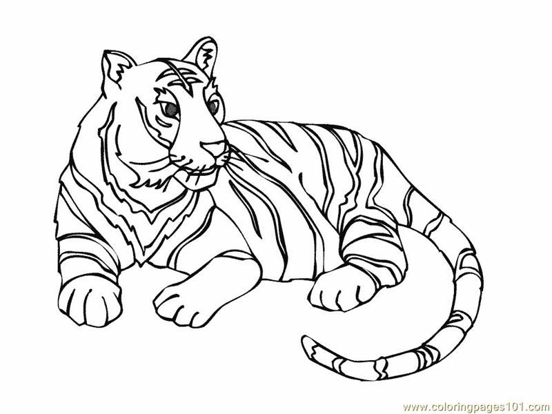 tiger-coloring-page-0018-q1