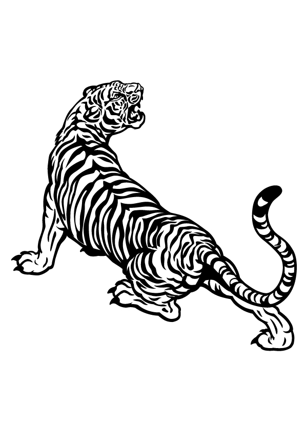 tiger-coloring-page-0044-q2