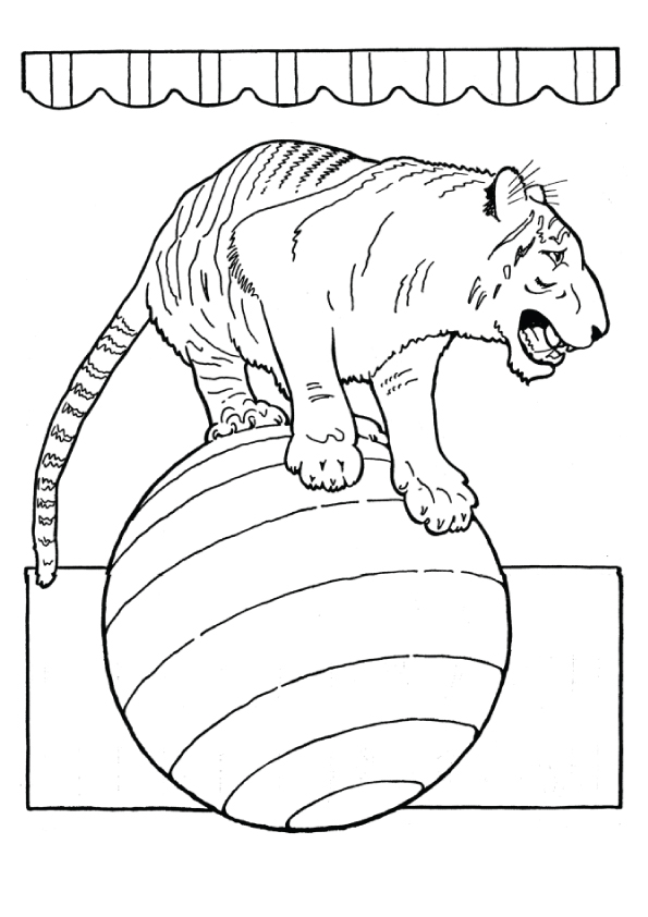 tiger-coloring-page-0049-q2