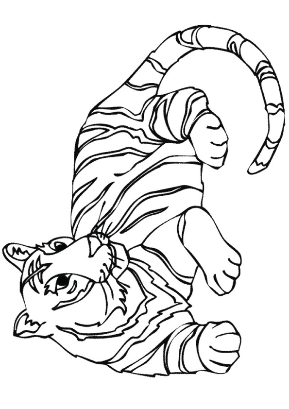 tiger-coloring-page-0052-q2