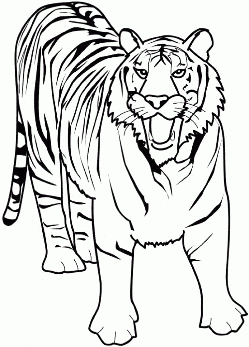 tiger-coloring-page-0057-q1