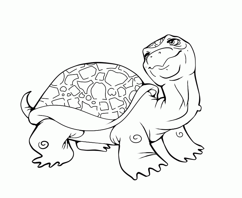 tortoise-and-turtle-coloring-page-0010-q1