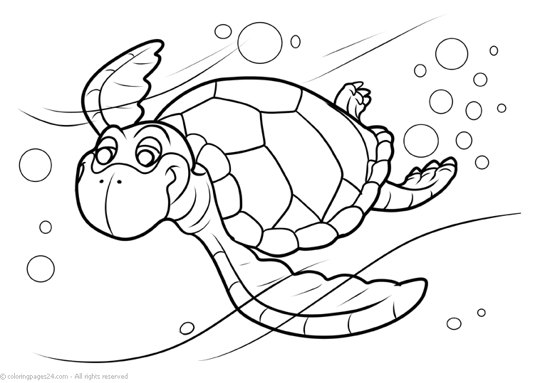 tortoise-and-turtle-coloring-page-0013-q3
