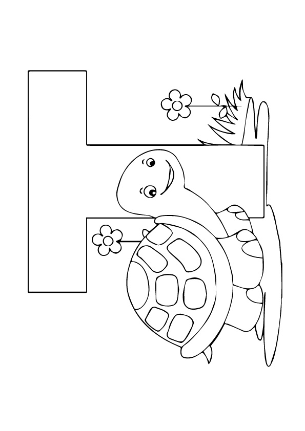 tortoise-and-turtle-coloring-page-0036-q2