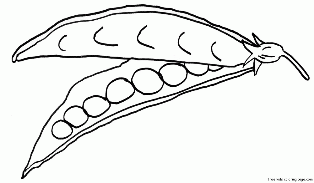 vegetable-coloring-page-0038-q1