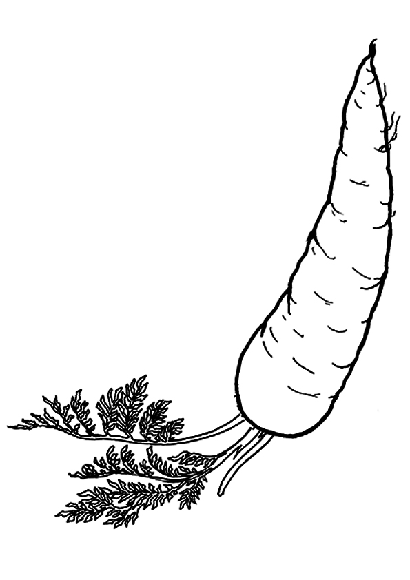 vegetable-coloring-page-0044-q2