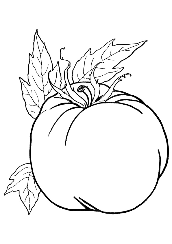 vegetable-coloring-page-0051-q2