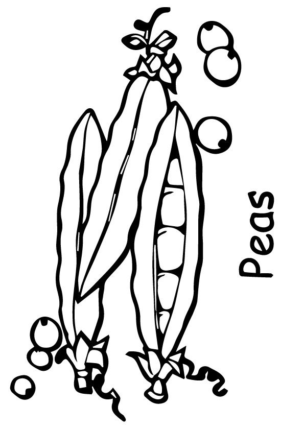 vegetable-coloring-page-0060-q2