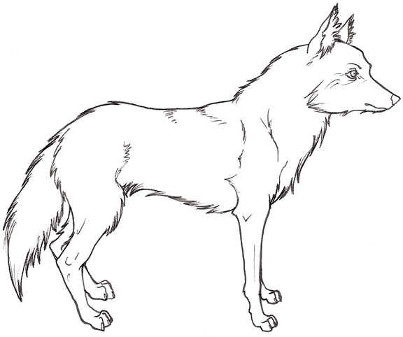 wolf-coloring-page-0003-q3