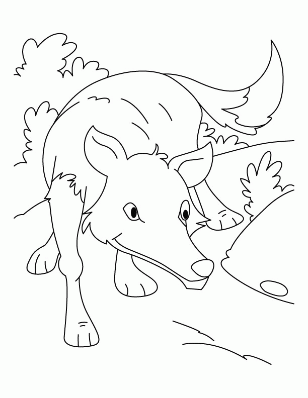 wolf-coloring-page-0024-q1