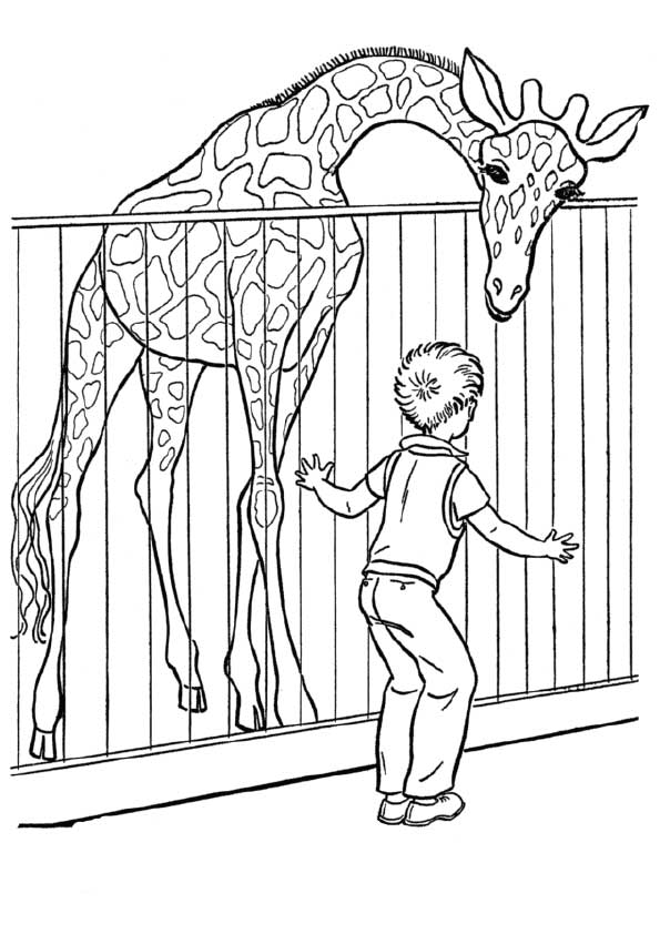 zoo-coloring-page-0021-q2