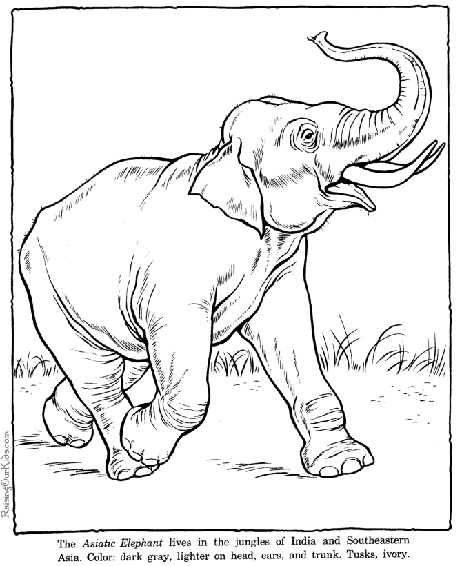 zoo-coloring-page-0029-q1