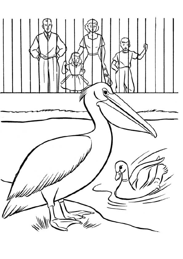 zoo-coloring-page-0032-q2
