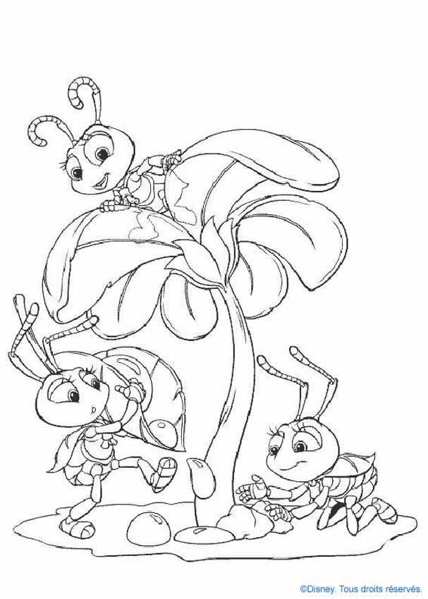 bug-coloring-page-0031-q1