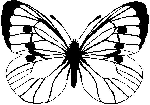 butterfly-coloring-page-0005-q3