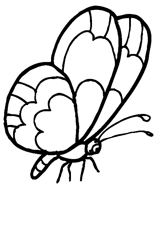 butterfly-coloring-page-0006-q3