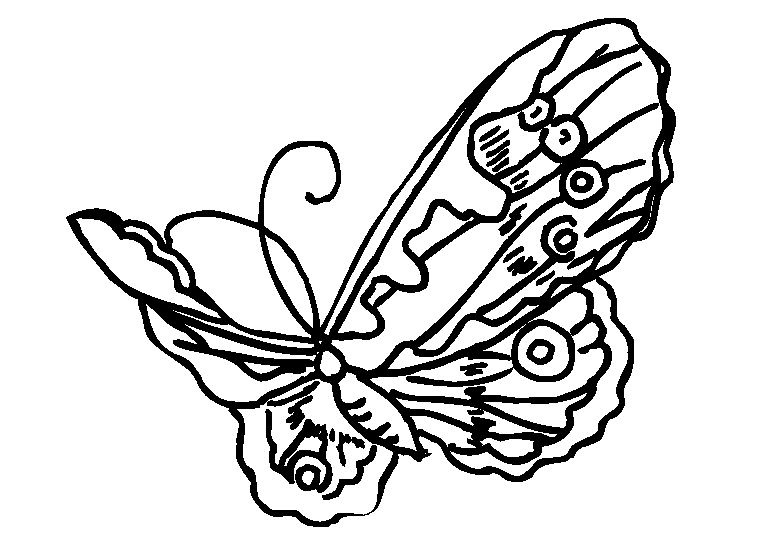 butterfly-coloring-page-0012-q3