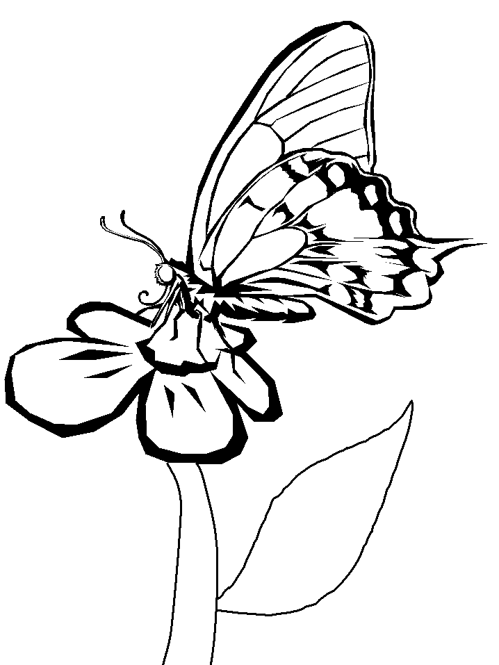 butterfly-coloring-page-0017-q1