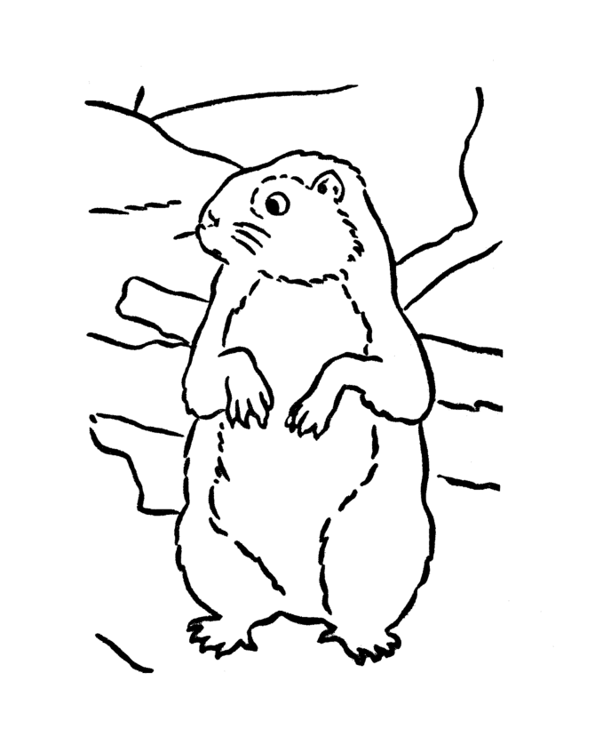 groundhog-day-coloring-page-0012-q1