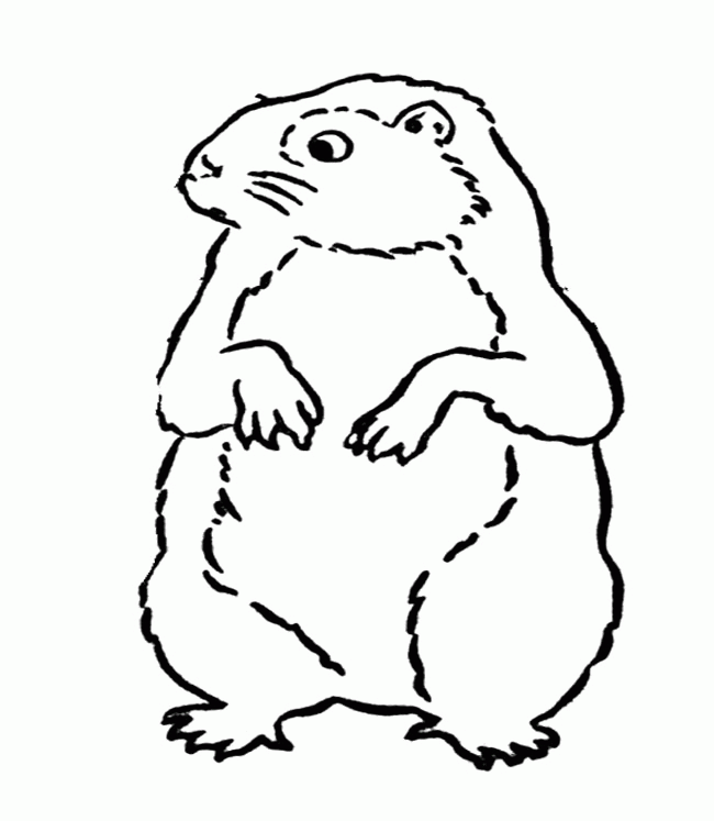 groundhog-day-coloring-page-0020-q1