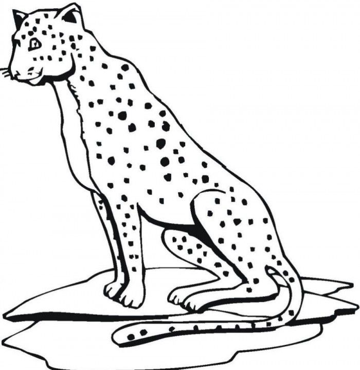 jaguar-coloring-page-0019-q1