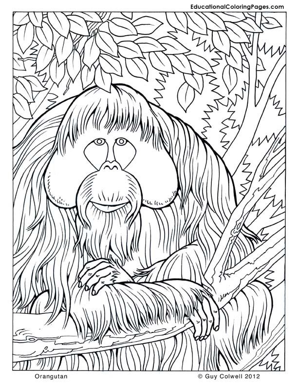 nature-coloring-page-0006-q1