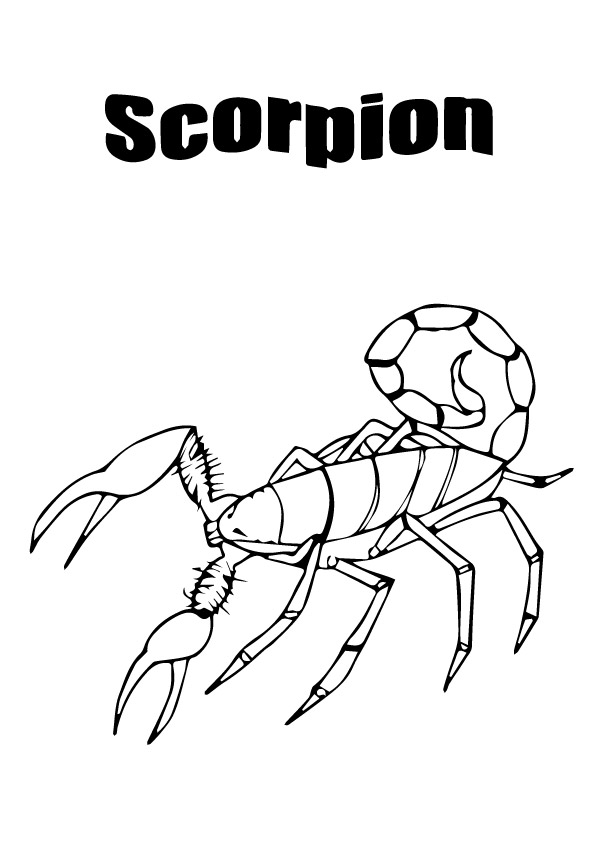 scorpion-coloring-page-0011-q2