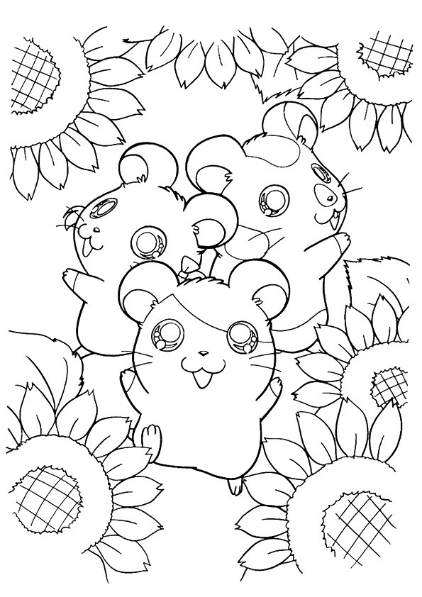 sunflower-coloring-page-0007-q2