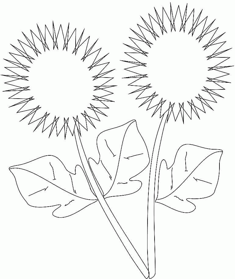 sunflower-coloring-page-0010-q1