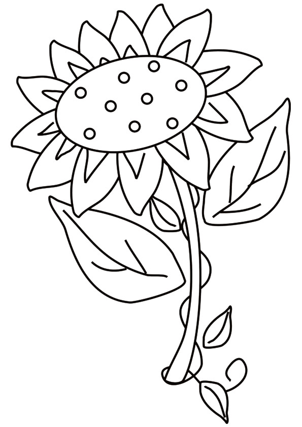sunflower-coloring-page-0017-q2