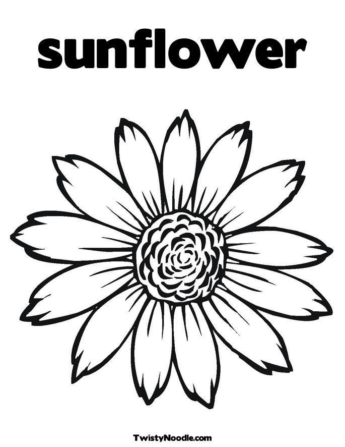 sunflower-coloring-page-0019-q1