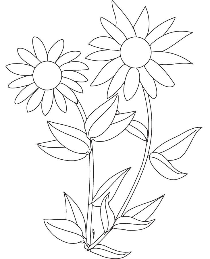sunflower-coloring-page-0021-q1