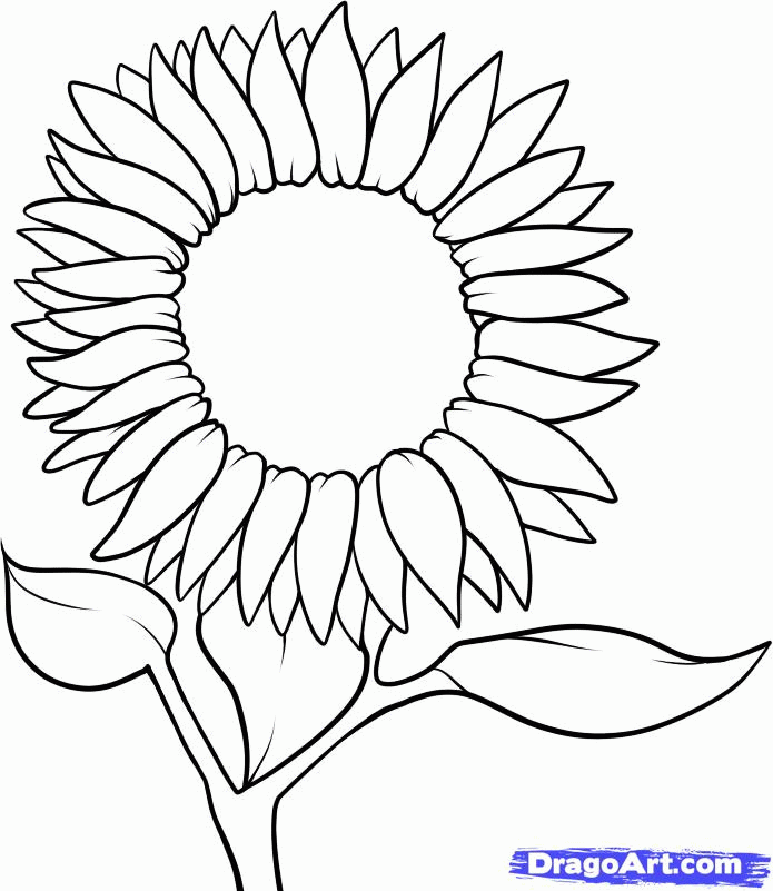 sunflower-coloring-page-0023-q1