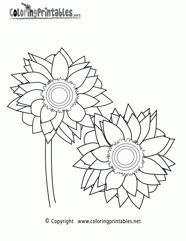 sunflower-coloring-page-0024-q1