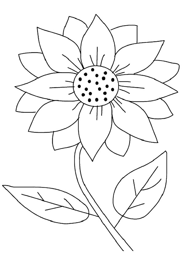 sunflower-coloring-page-0026-q2