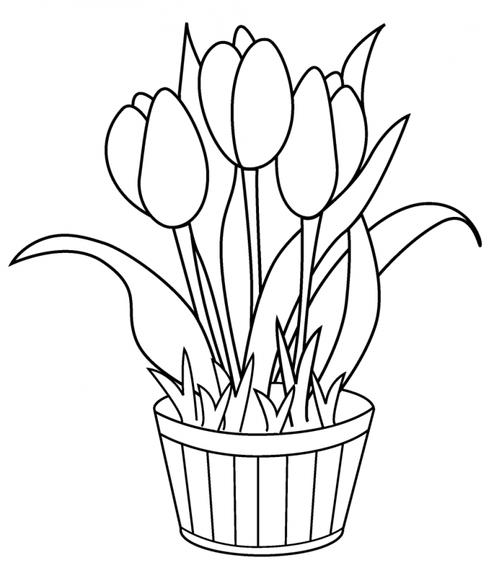 tulip-coloring-page-0002-q1