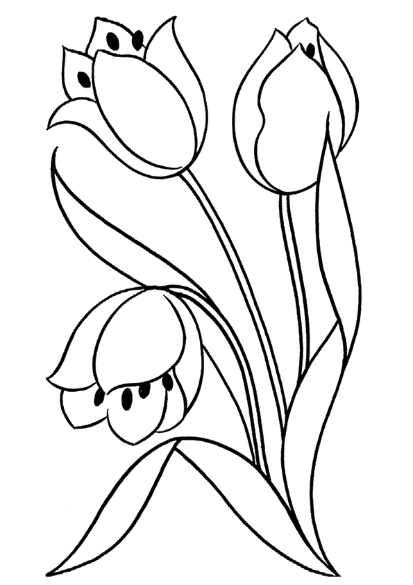 tulip-coloring-page-0005-q2