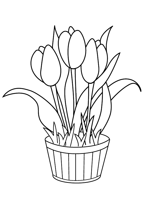 tulip-coloring-page-0006-q2