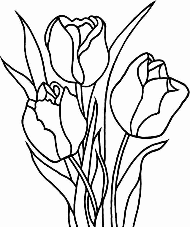 tulip-coloring-page-0009-q1