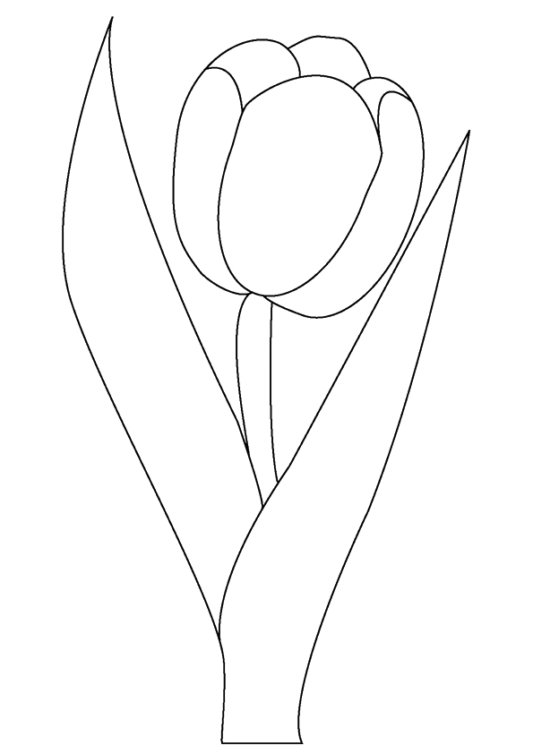 tulip-coloring-page-0015-q2