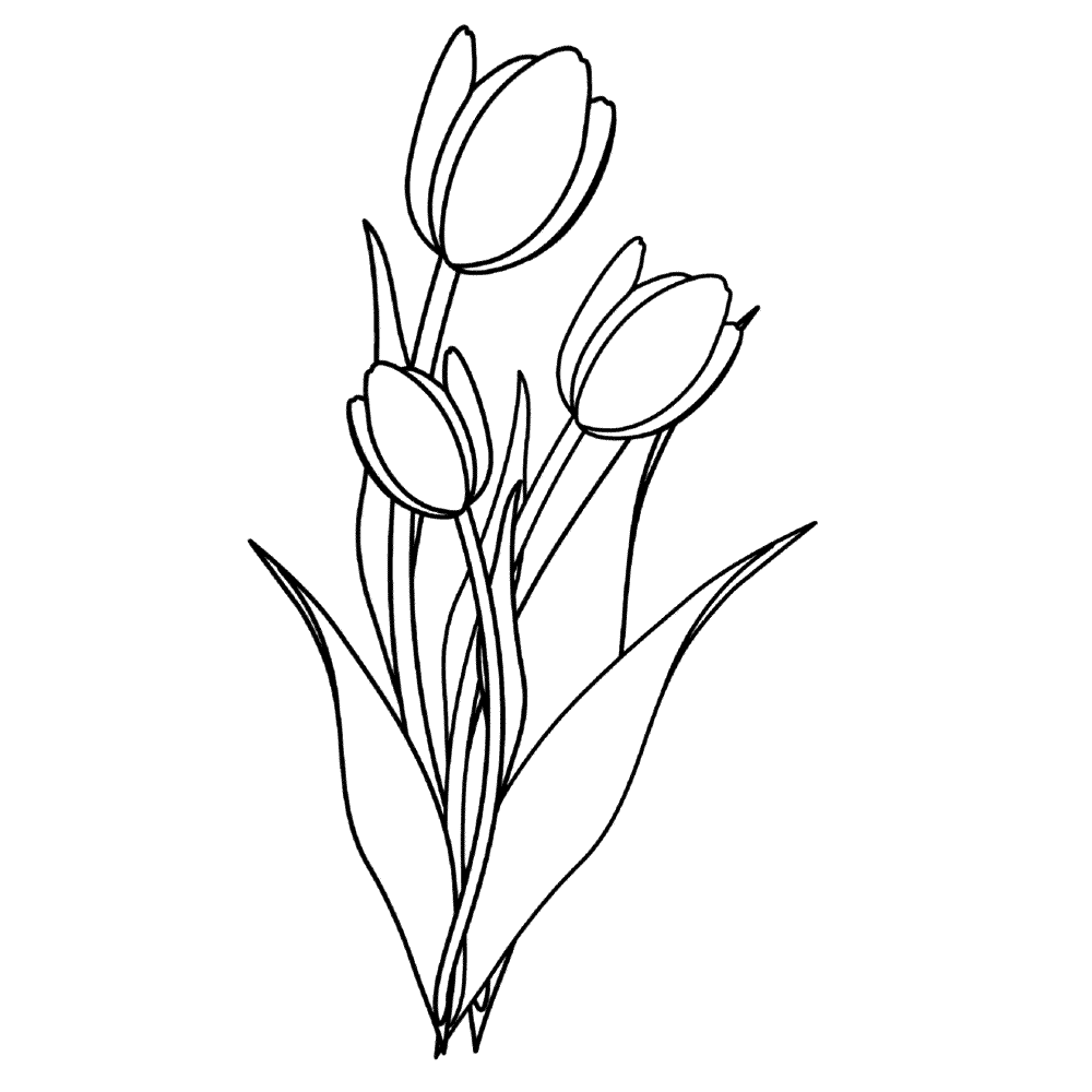 tulip-coloring-page-0027-q4